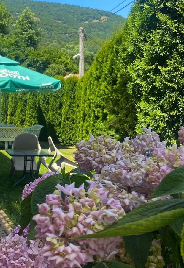 Petar Apartment Mavrovo Buitenkant foto