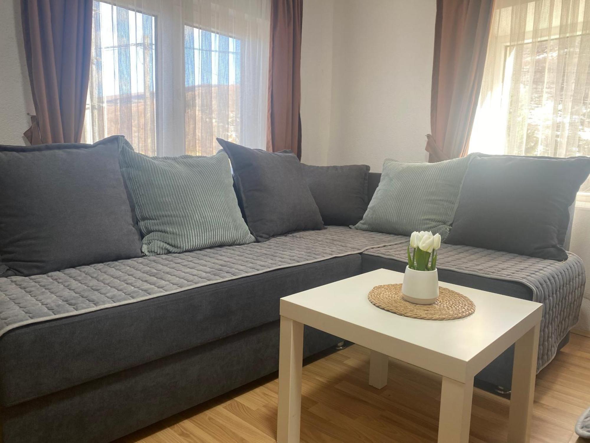 Petar Apartment Mavrovo Buitenkant foto